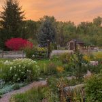 Meer maanden van Kielian’s Garden