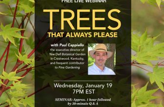 Bomen die altijd willen (Webinar)