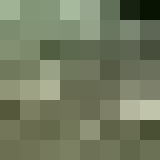 Seizoenen in een Montana Garden