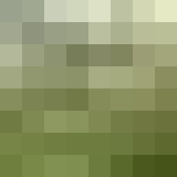 Een Japans geïnspireerde tuin bouwen Groene Tuin